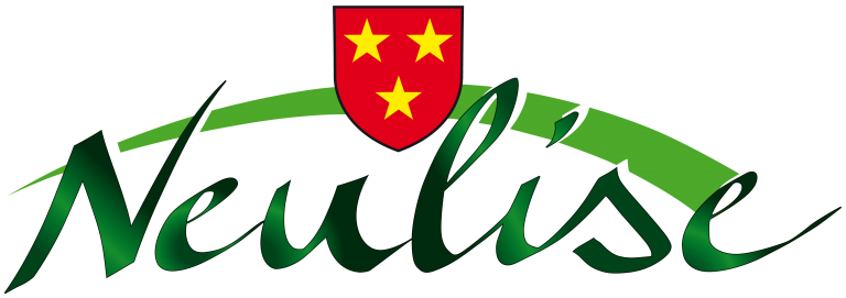 Logo vert et rouge avec shield étoilé et texte "Neulise".