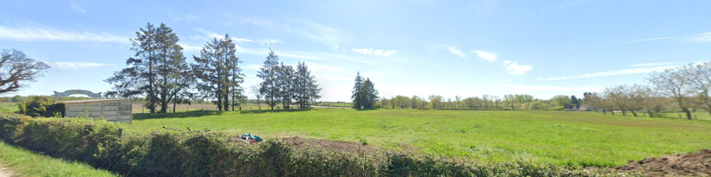 Champ vert avec arbres et ciel bleu, bâtiment au loin.