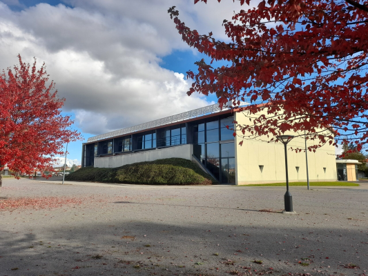 Bâtiment moderne avec grandes vitres, pelouse et arbres aux feuilles rouges.