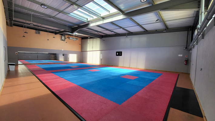 Salle de sport avec sol en parquet et tatamis.