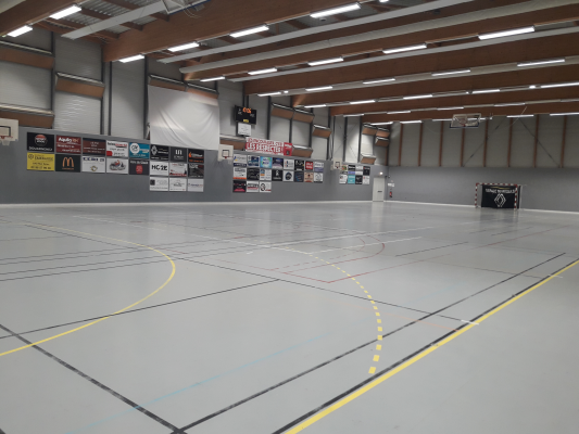 Salle de sport avec panier de basket, filet de handball, panneaux publicitaires et éclairage.