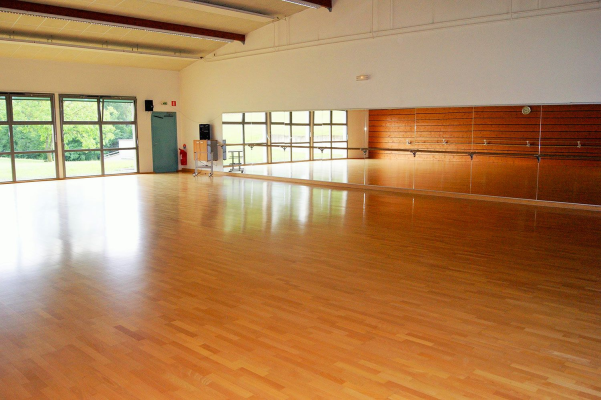 Salle de danse avec parquet, barres et fenêtres.