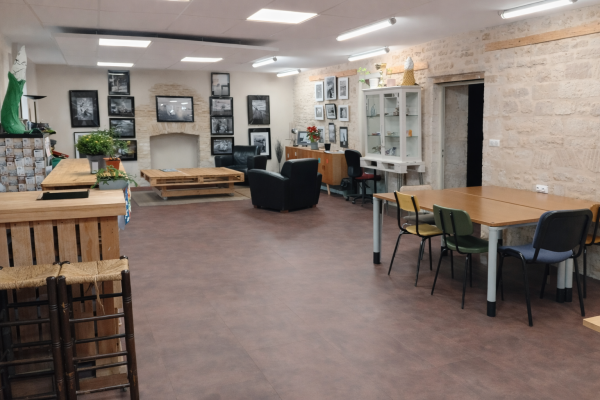 Salle avec tables, chaises, vitrine, étagères, plantes, télévision, canapés et cheminée.