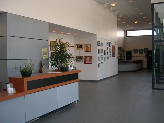 Réception avec comptoir, plantes, œuvres d'art au mur et porte vitrée.