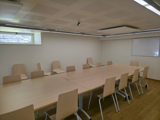 Salle de réunion avec table, chaises, écran et vidéoprojecteur.