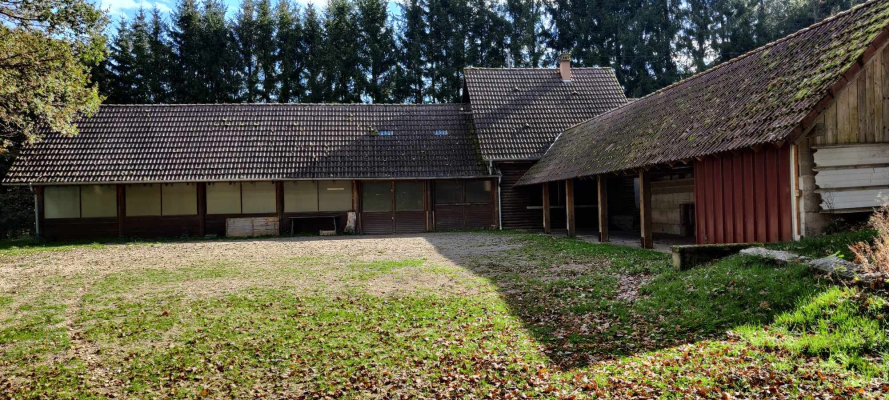 Fermes en bois avec toits en tuiles, portes et fenêtres ouvertes, entourées d'arbres.
