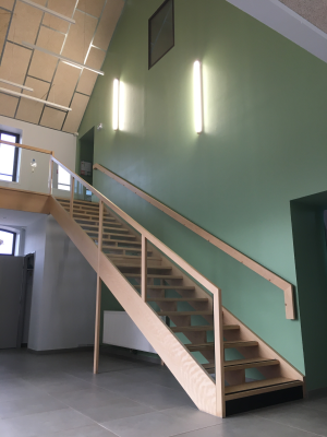 Escalier en bois avec rampe, mur vert, éclairage mural, plafond en panneaux.