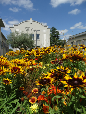 Flanc de bâtiment avec fleurs et ciel bleu.