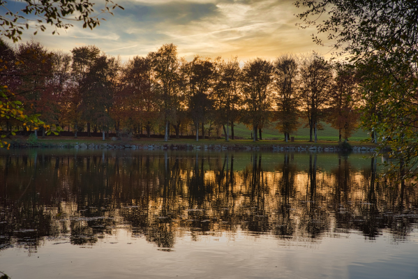 Lac reflétant arbres et ciel au coucher du soleil.