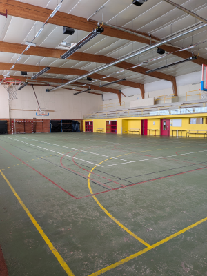 Salle de sport avec panier de basket, lignes de terrain et gradins.