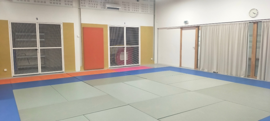 Salle avec tapis, fenêtres grillagées, porte, rideaux et horloge.