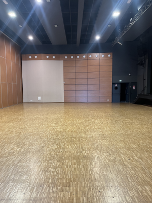 Salle avec sol en bois, murs en bois et noir, éclairage intégré et porte.