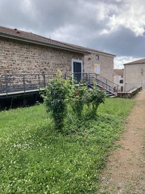 Bâtiment en pierre avec un escalier extérieur, une terrasse et un buisson.