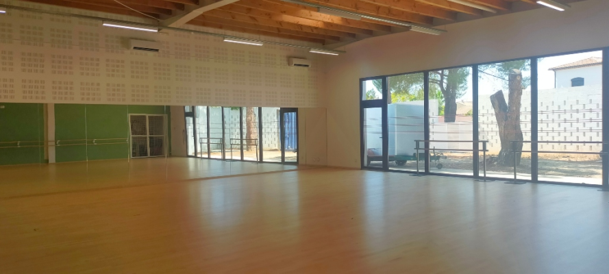 Salle de danse avec parquet, barres, grandes fenêtres et murs en brique.